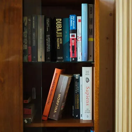 Nad Poziomem Radomice (Lipno)