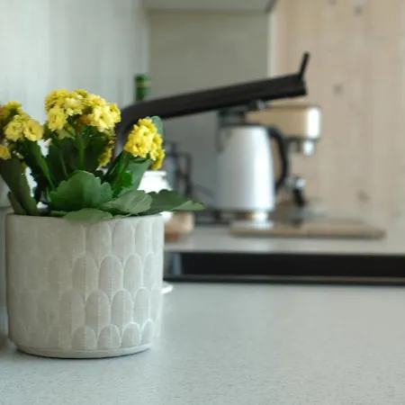 Nad Poziomem Radomice (Lipno)