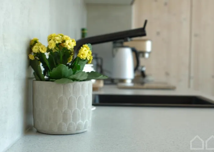 Nad Poziomem Radomice (Lipno)